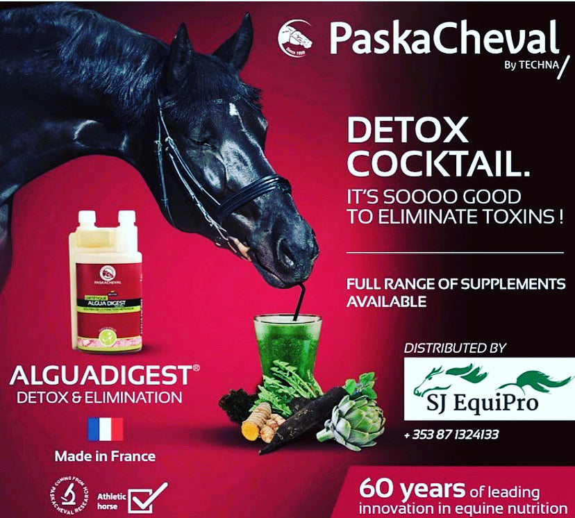 The Importance Of Liver Health In Horses