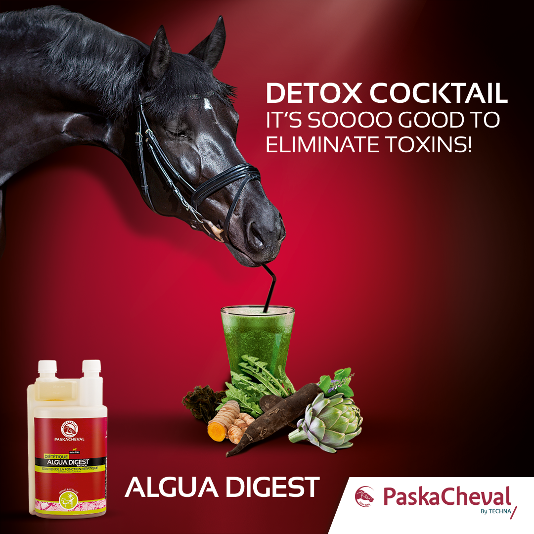 Algua Algua Detox – SJ EquiPro Ltd